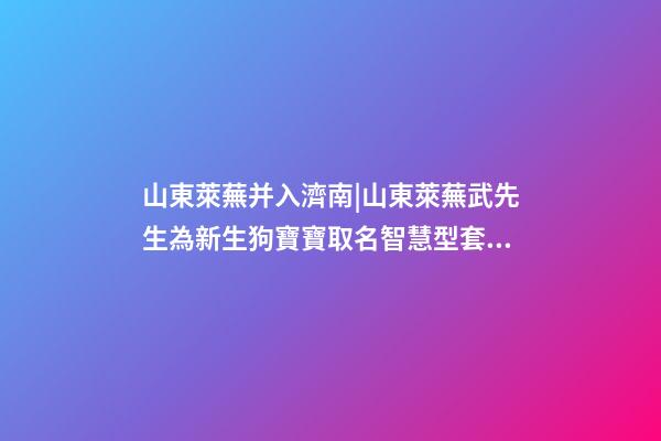 山東萊蕪并入濟南|山東萊蕪武先生為新生狗寶寶取名智慧型套餐-第1張-公司起名-玄機派